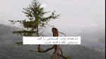 دانلود آهنگ گلسه باهار گولوم سن